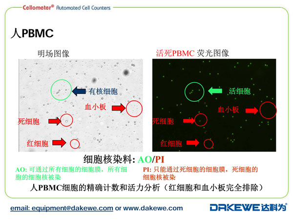 Auto2000細(xì)胞計(jì)數(shù)儀計(jì)數(shù)PBMC樣本案例