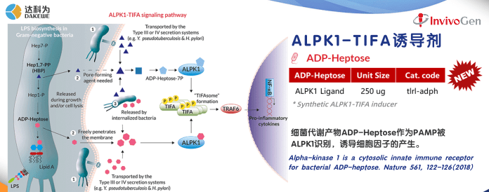 ADP宣傳